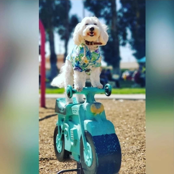 Share 20 ๐ปSharing is Caring๐ป - Picture 4 of 16